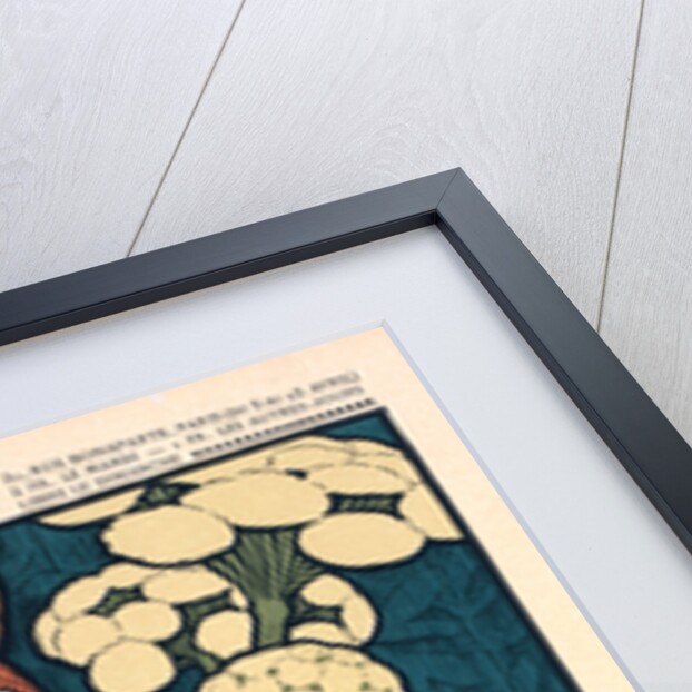 Poster for l' Exposition E. Grasset au Salon des Cent by Eugène Grasset