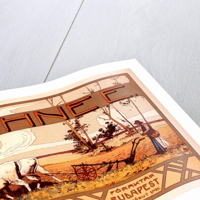 Poster for la Maison Kühnee by Árpád Basch