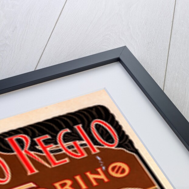 Italian poster for le Théâtre royal de Turin by Giuseppe Boano