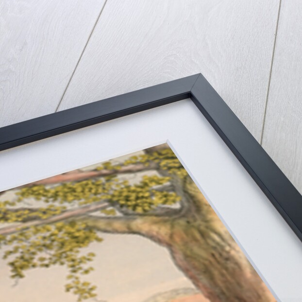 Albanian guard or soldier, Travels through Turkey 1862 by Henry J. Van Lennep