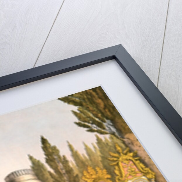 Turkish and Armenian ladies, woman of Turkey and of Armenia, Travels through Turkey 1862 by Henry J. Van Lennep