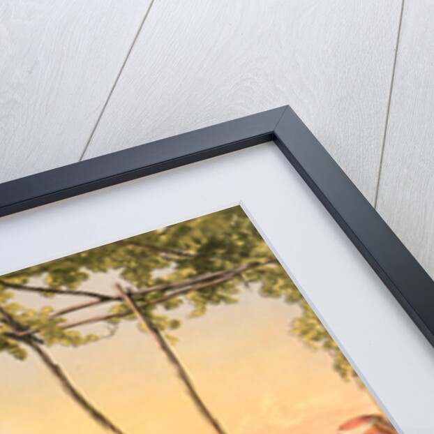 Jewish merchant, Travels through Turkey 1862 by Henry J. Van Lennep