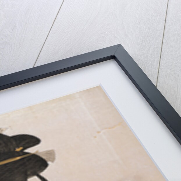 Tôji san bijin, Three beauties of the present day by Utamaro Kitagawa