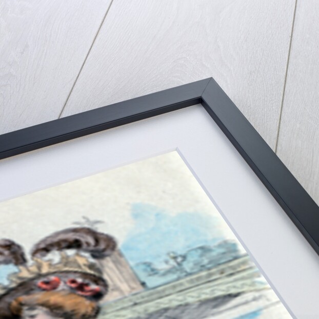 1900, Women's fashion in nineteenth century Paris by Henri Boutet