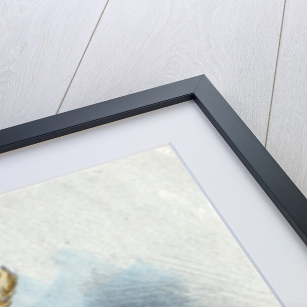 1890, Women's fashion in nineteenth-century Paris by Henri Boutet