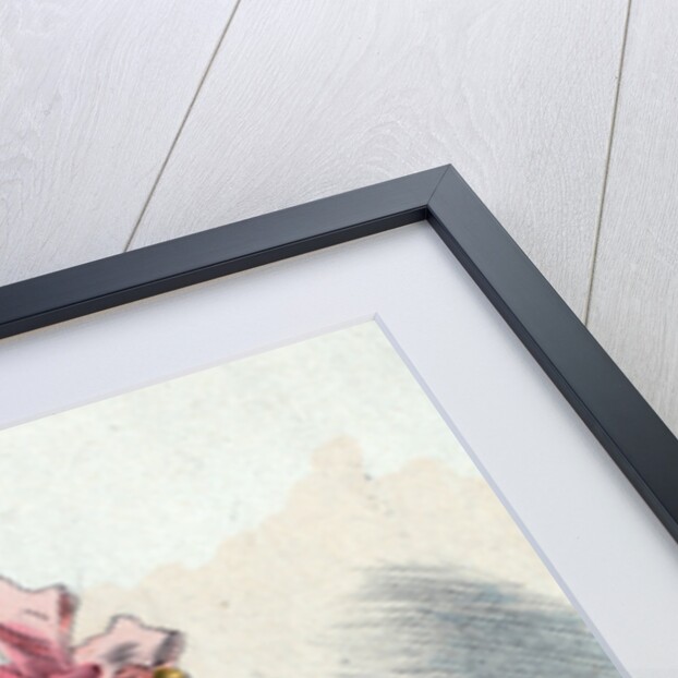 1896, Women's fashion in nineteenth-century Paris by Henri Boutet