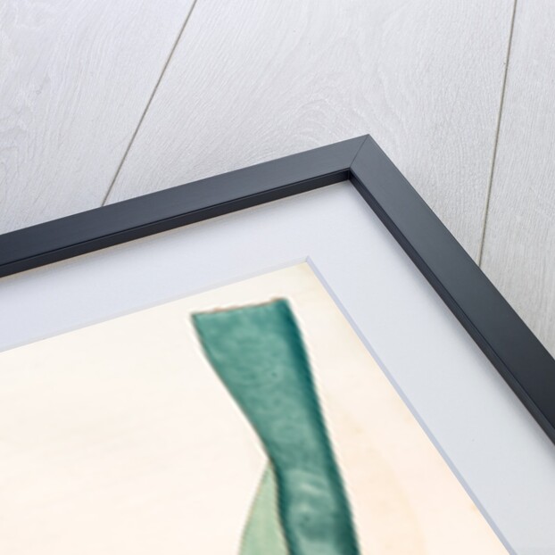 Sanseviera guineensis, Sansevieria thyrsiflora; Sansviera de Guinée, African hemp by Pierre Joseph Redouté