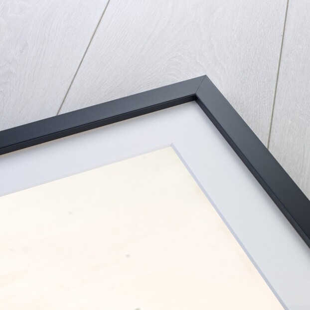 Epidendrum cochleatum, Ail à fleurs pendantes, Clamshell Orchid by Pierre Joseph Redouté