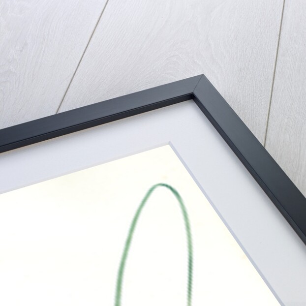 Iris Sisyrinchium, Iris double-bulbe à fleurs violet pâle, Spanish nut by Pierre Joseph Redouté