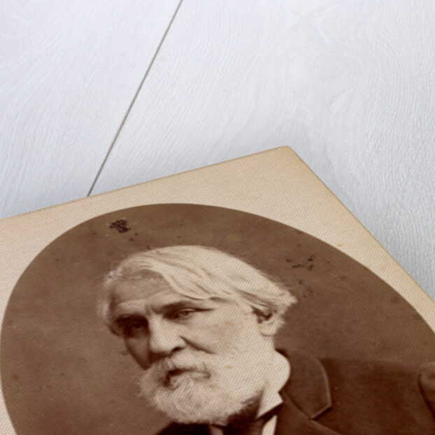 Allium paniculatum, Ail en panicule, Meditteranean onion by Pierre Joseph Redouté