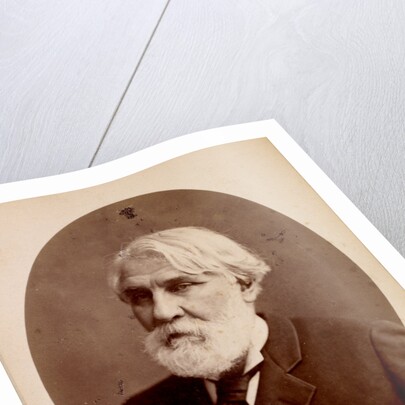 Allium paniculatum, Ail en panicule, Meditteranean onion by Pierre Joseph Redouté