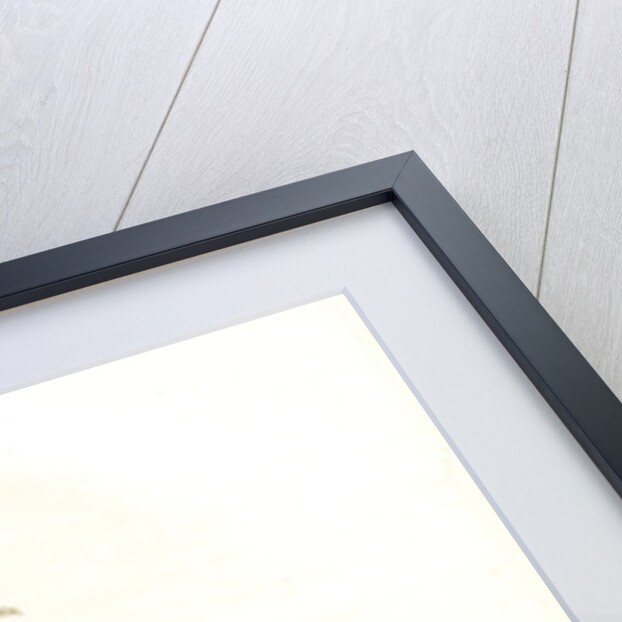 Furcraea gigantea, Fourcroye gigantesque; Giant False Agave by Pierre Joseph Redouté