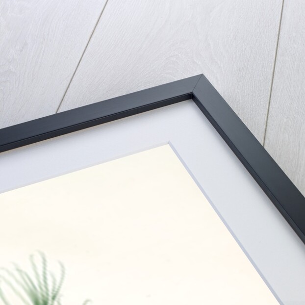 Polygonatum sibiricum, Polygonatum sibiricum; Polygonatum de Sibèrie, Siberian Solomon's seal by Pierre Joseph Redouté