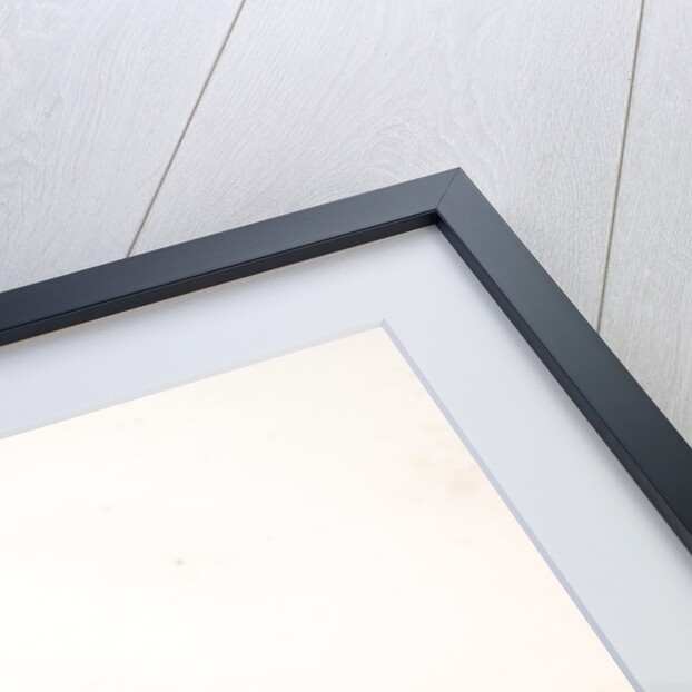 Iris cristata, Iris à crète; Dwarf Crested Iris by Pierre Joseph Redouté