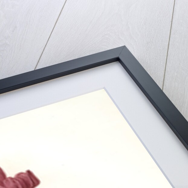 Lilium martagon, Lis martagon; Turk's Cap Lily or Martagon Lily by Pierre Joseph Redouté