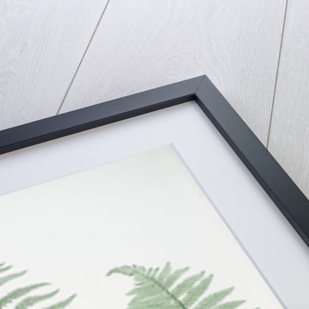 The marsh, or Female buckler fern by Henry Riley Bradbury