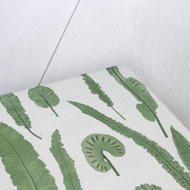 The common harts-tongue fern by Henry Riley Bradbury