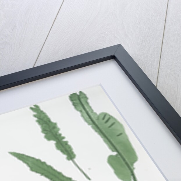 The common harts-tongue fern by Henry Riley Bradbury