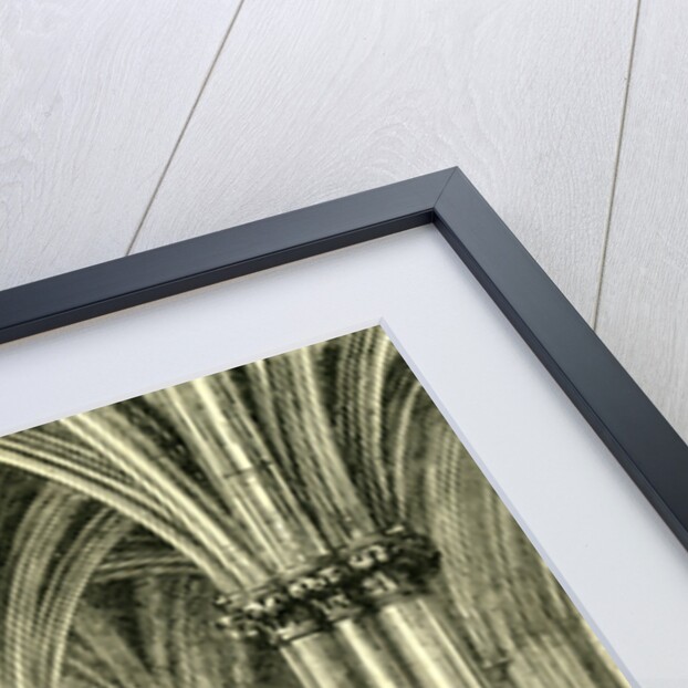 Glasgow Cathedral 1880 the Crypt by Anonymous