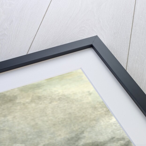 Saint Petersburg Russia 19th Century Academy of Science by Anonymous