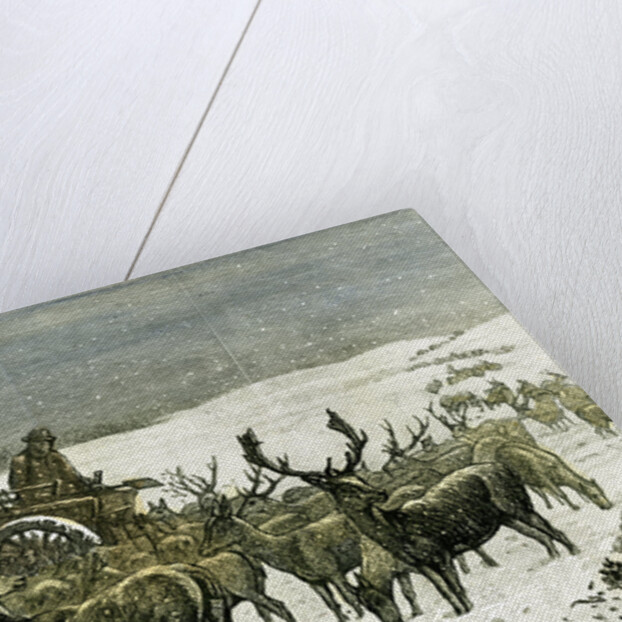 London Richmond Park UK 1887 Feeding the Deer in Severe Weather Great Britain by Anonymous