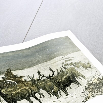 London Richmond Park UK 1887 Feeding the Deer in Severe Weather Great Britain by Anonymous