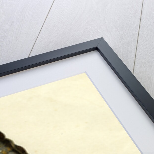 Maximilien D' Autriche 19th Century Illustration 1459 - 1519 by Anonymous