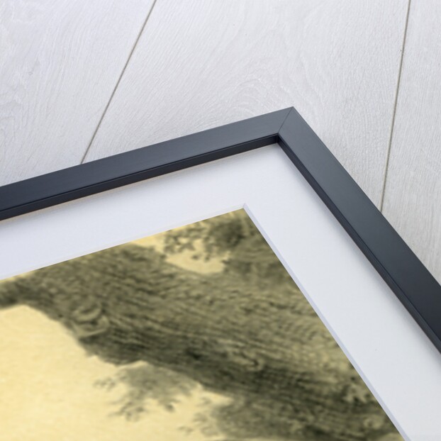 Child Dog 19th Century Woman Hat Country Side Tree Horses by Anonymous