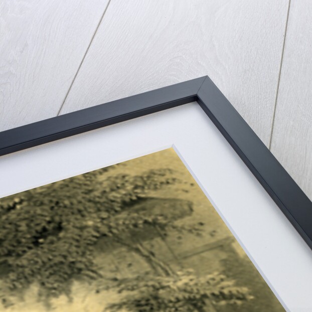 Goat Woman Girl Spinning Wheel 19th Century Hat Garden by Anonymous