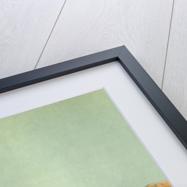 Sahara 19th Century Desert Camels by Anonymous