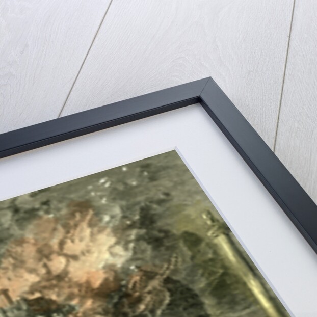 Newcastle on Tyne UK 1867 Great Fire in the Central Exchange Buildings by Anonymous