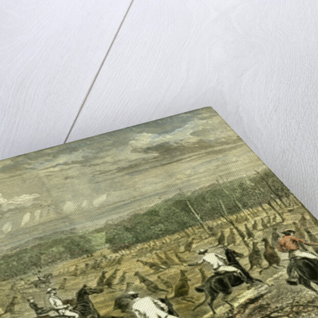 Australia Kangaroo Hunt 1880 by Anonymous