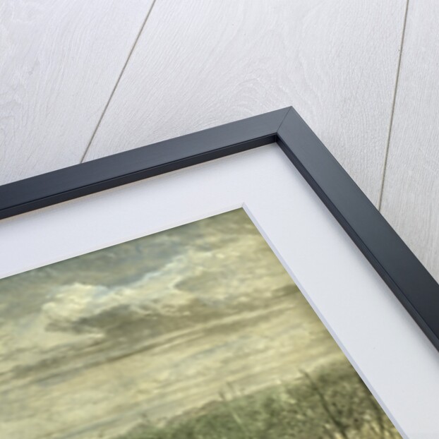 Australia Kangaroo Hunt 1880 by Anonymous