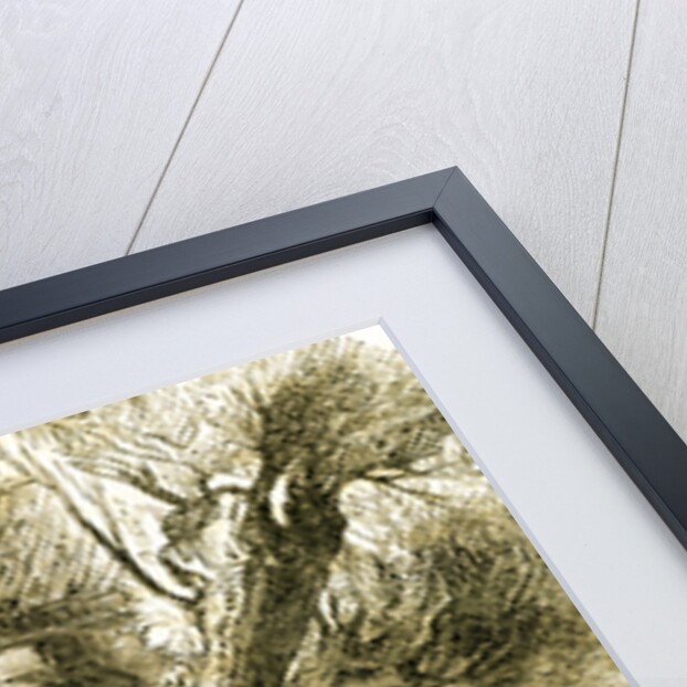 Ducks 19th Century by Anonymous