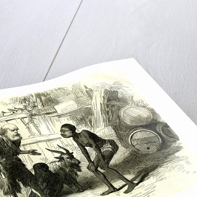 Robinson Crusoe 1869 or Friday and the Fairies at Covent Garden Theatre, Scene from the Christmas Pantomimes, London, Great Britain by Anonymous