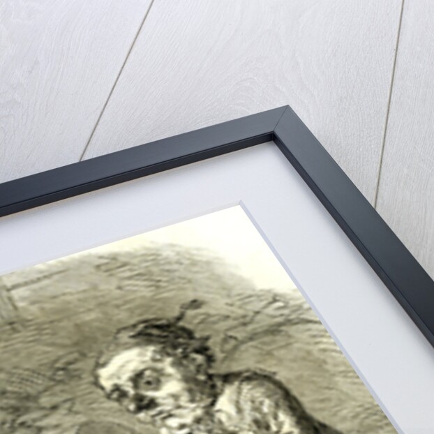 Drury Lane Theatre Grimalkin Thegreat Puss in Boots and the Miller's Son 1869 London Great Britain by Anonymous