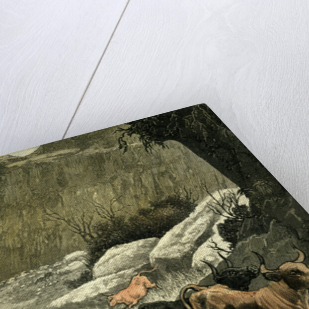 Chile Rodeo 1880 Driving Down the Cattle from the Mountains to the Corrals by Anonymous