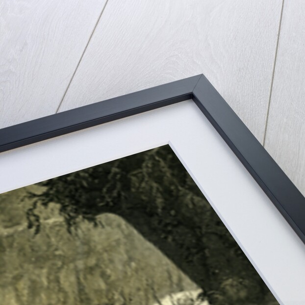 Chile Rodeo 1880 Driving Down the Cattle from the Mountains to the Corrals by Anonymous