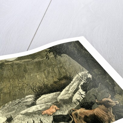 Chile Rodeo 1880 Driving Down the Cattle from the Mountains to the Corrals by Anonymous