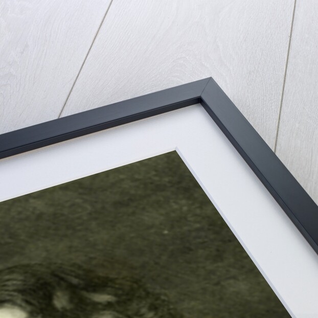 Claverhouse Viscount Dundee London UK 1867 in the National Portrait Exhibition South Kensington London Great Britain by Anonymous