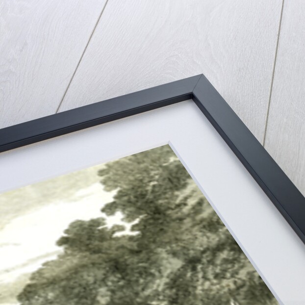 The Queen's Visit to the Scottish Border. Her Majesty's Entry Into Kelso 1867 Great Britain by Anonymous