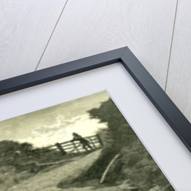 A Tiff 1878 Outdoors Nature Walk Woman Dog Fence Man Country Lane Umbrella Hat by Anonymous