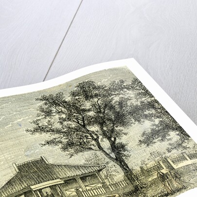 Three Kilometers from Saigon Vietnam 19th Century the Chinese Town by Anonymous