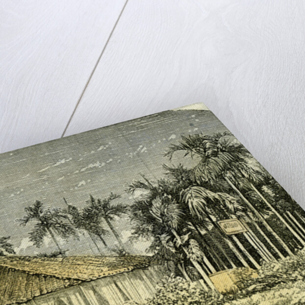 Saigon Rue De Gouvernement Vietnam 19th Century by Anonymous