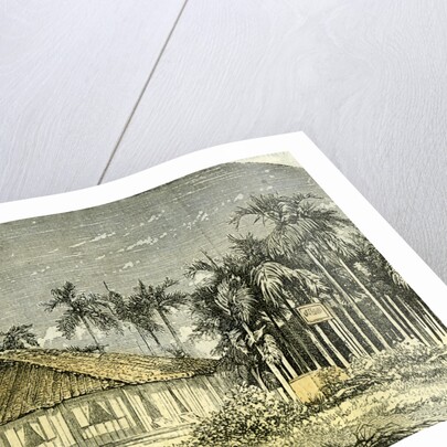 Saigon Rue De Gouvernement Vietnam 19th Century by Anonymous