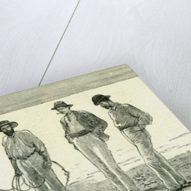 Caribbean Sea 1885 Shark Fishing Fish by Anonymous