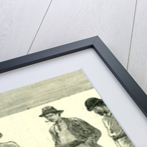 Caribbean Sea 1885 Shark Fishing Fish by Anonymous