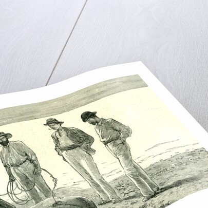 Caribbean Sea 1885 Shark Fishing Fish by Anonymous