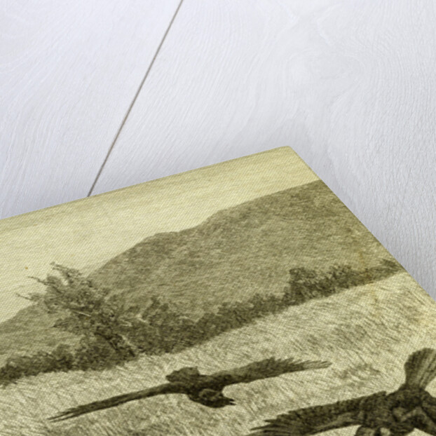 Hunt Fox Austria 1891 by Anonymous