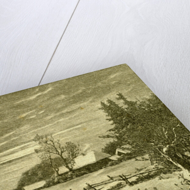 Winter Time Deer Austria 1891 by Anonymous